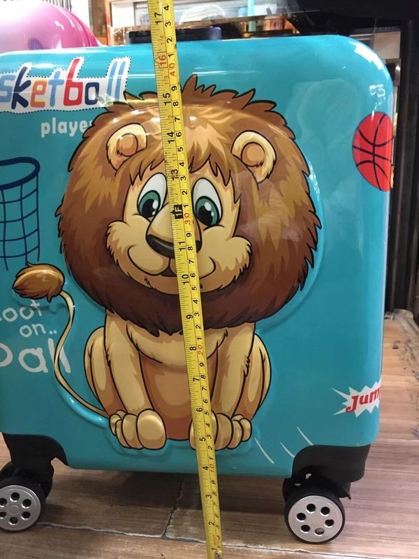 Vendas directas 18 polegadas PC Abs Premium crianças bagagem para viagens ao ar livrein