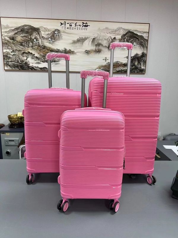 OEM Business Carry-On 20 24 28 polegadas PP mala de viagem para viagens e trabalho