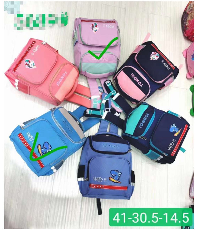 Venda a retalho Bolsas de Escola para Meninas
