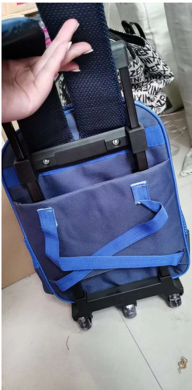 3 em 1 bolsas de desenho animado para a escola com caixa de almoço caixa de lápis de caixa meninas crianças mochila crianças bolsas de escola