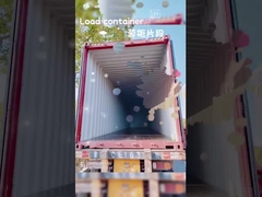 Multicolor Children Pull Along Maleta 30L com alça telescópica